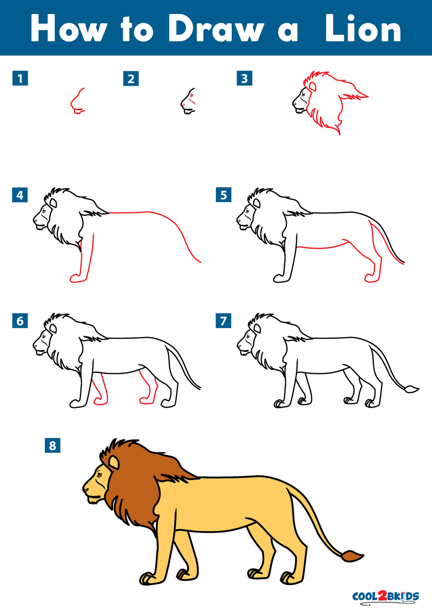 How To Draw Lion Picture