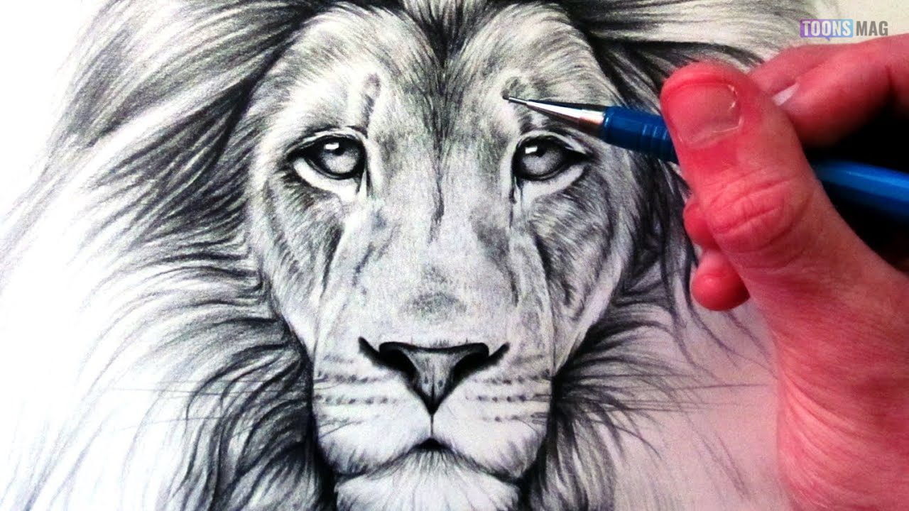 How To Draw Lion Realistic Easy