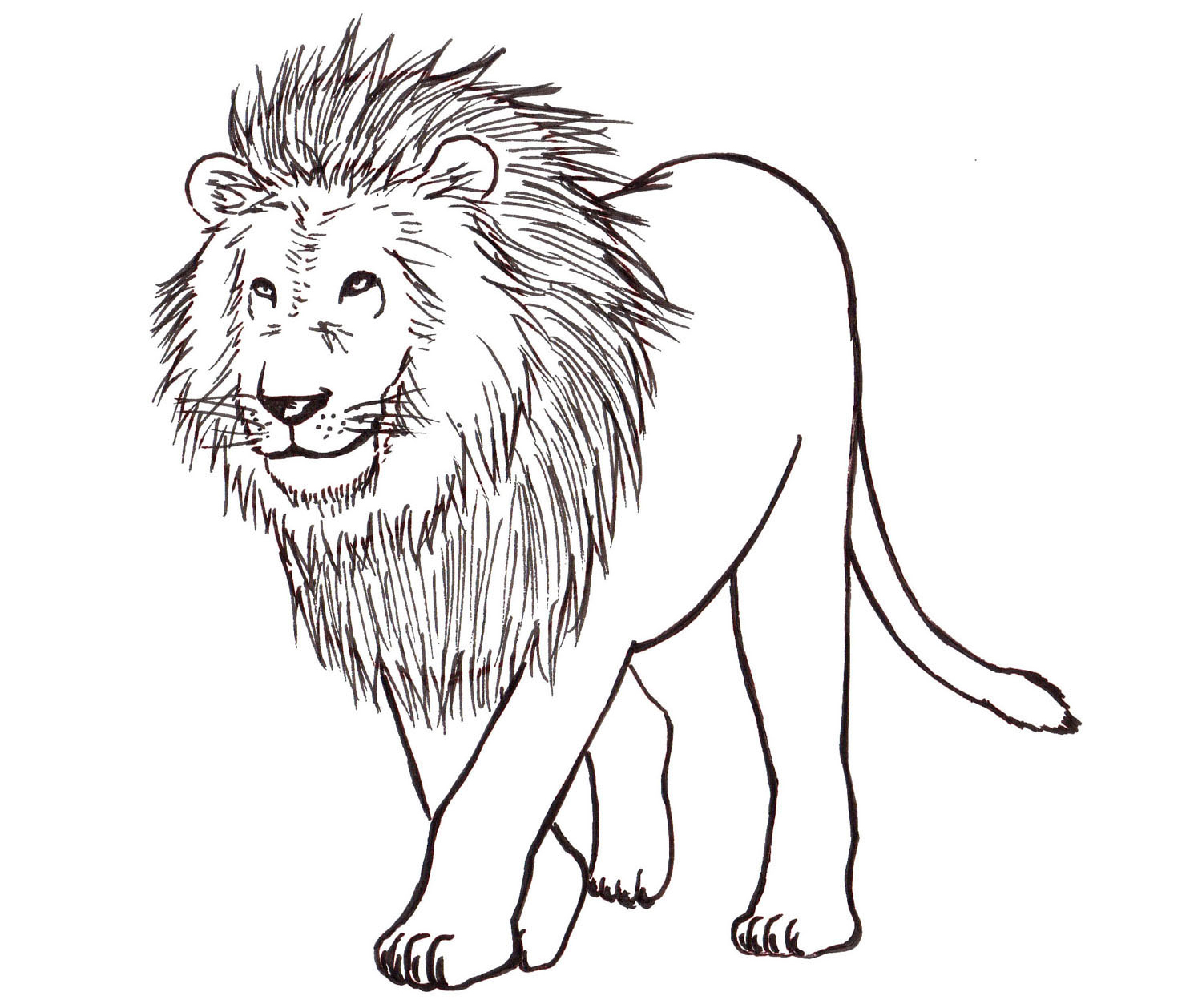 How To Draw Lion Skull