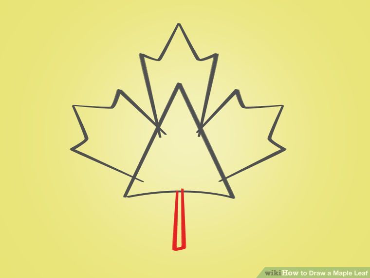 How To Draw Maple Leaf Canada