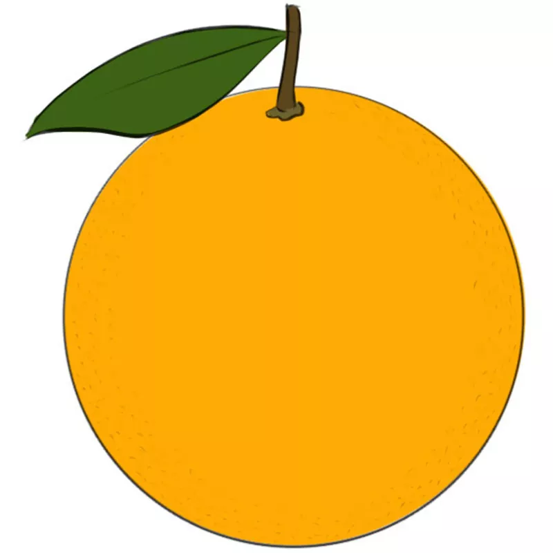 How To Draw Orange Picture