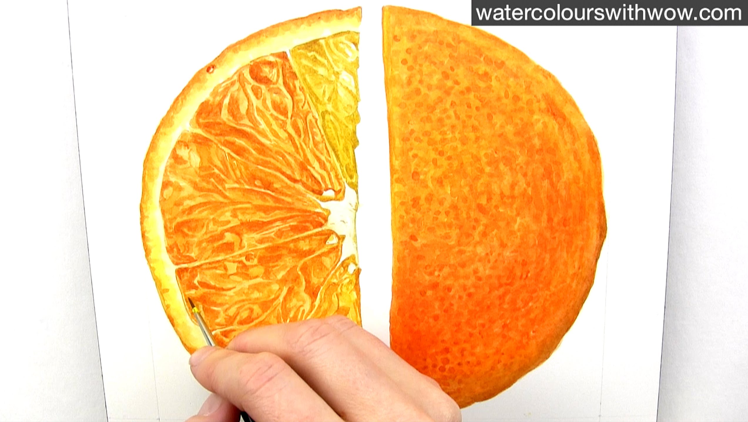 How To Draw Orange Realistic