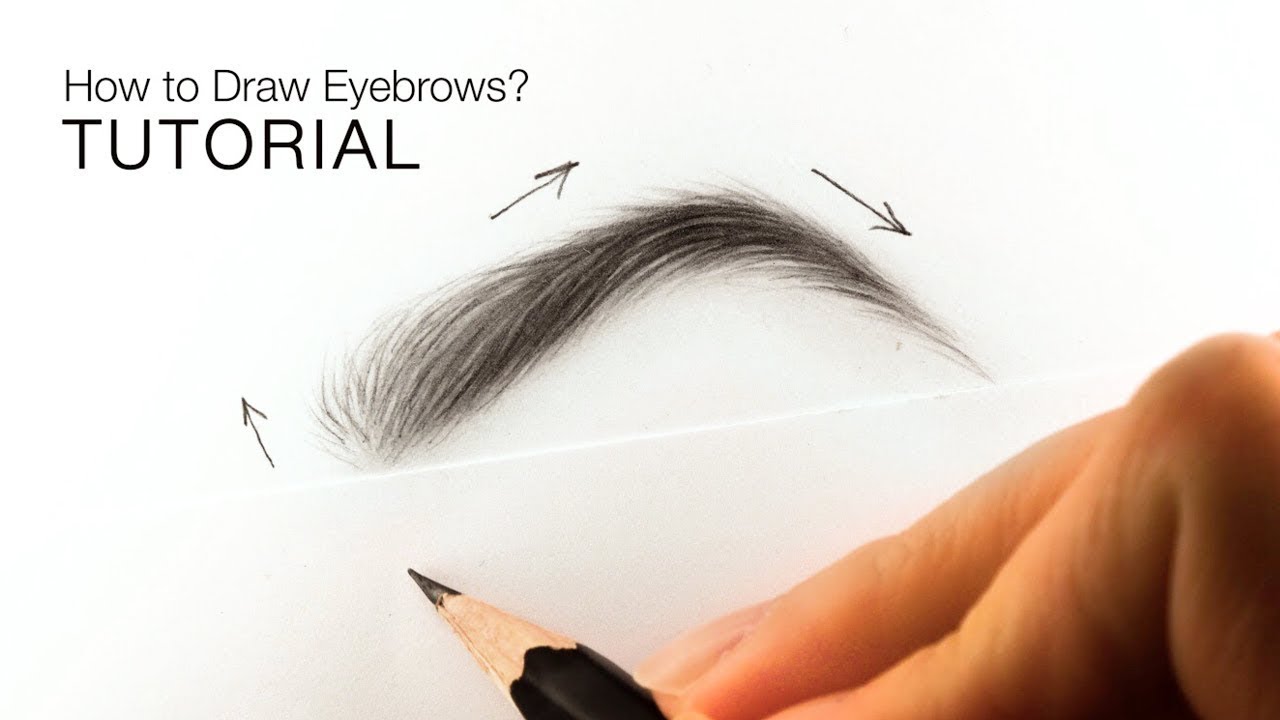 How To Draw Realistic Eyebrows On Procreate