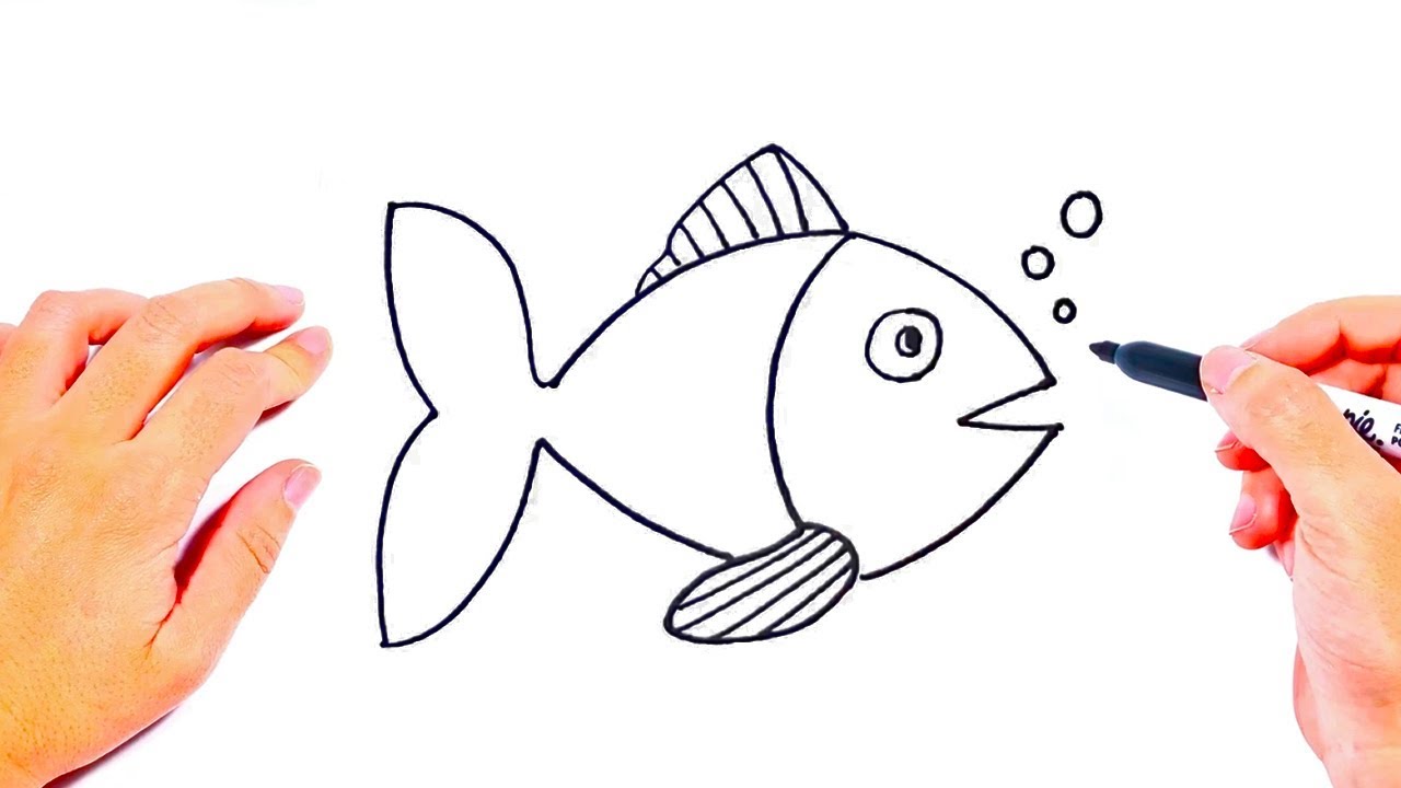 How To Draw Realistic Fish Easy