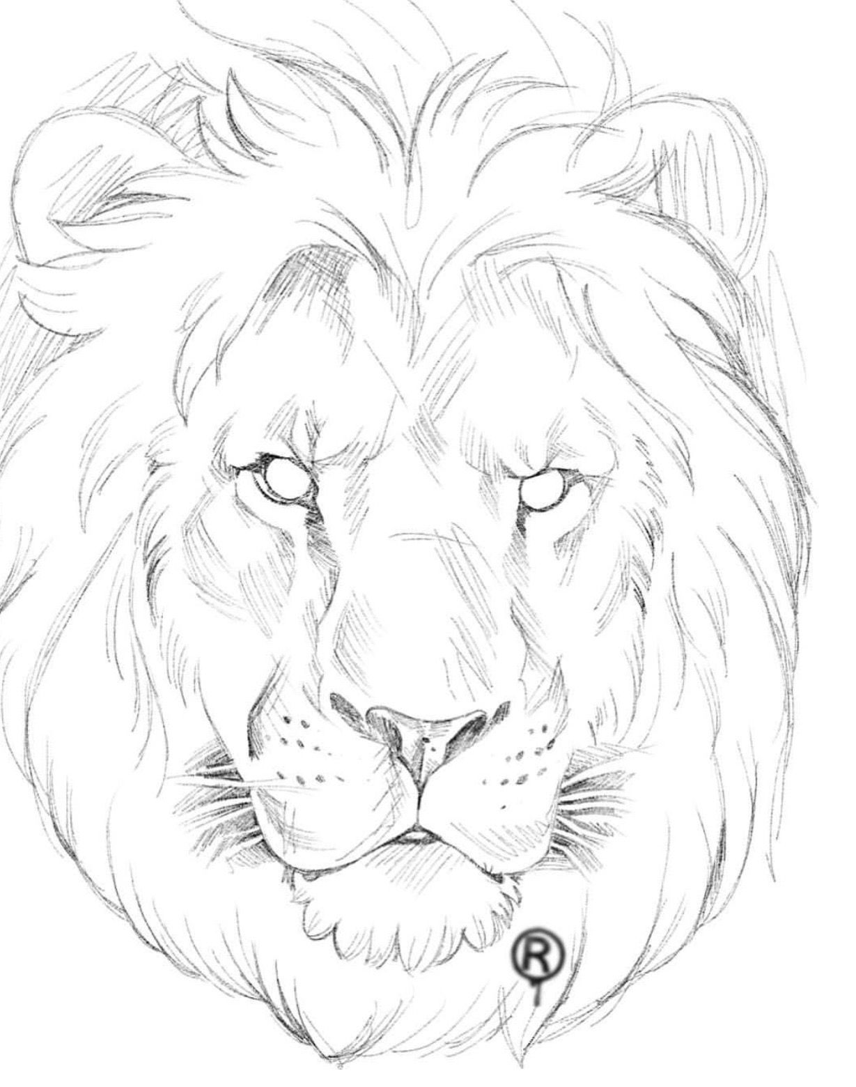 How To Draw Realistic Lion Fur