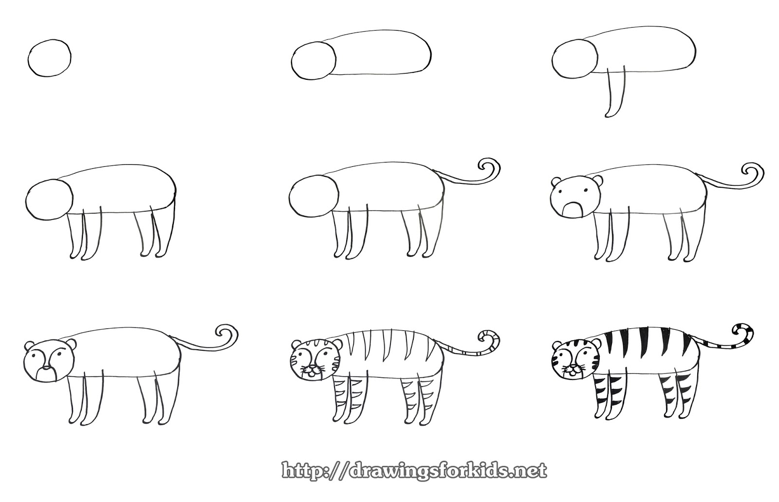 How To Draw Tiger Diagram