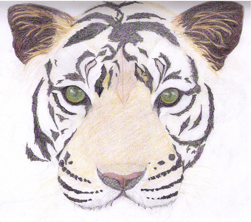 How To Draw Tiger Face Paint