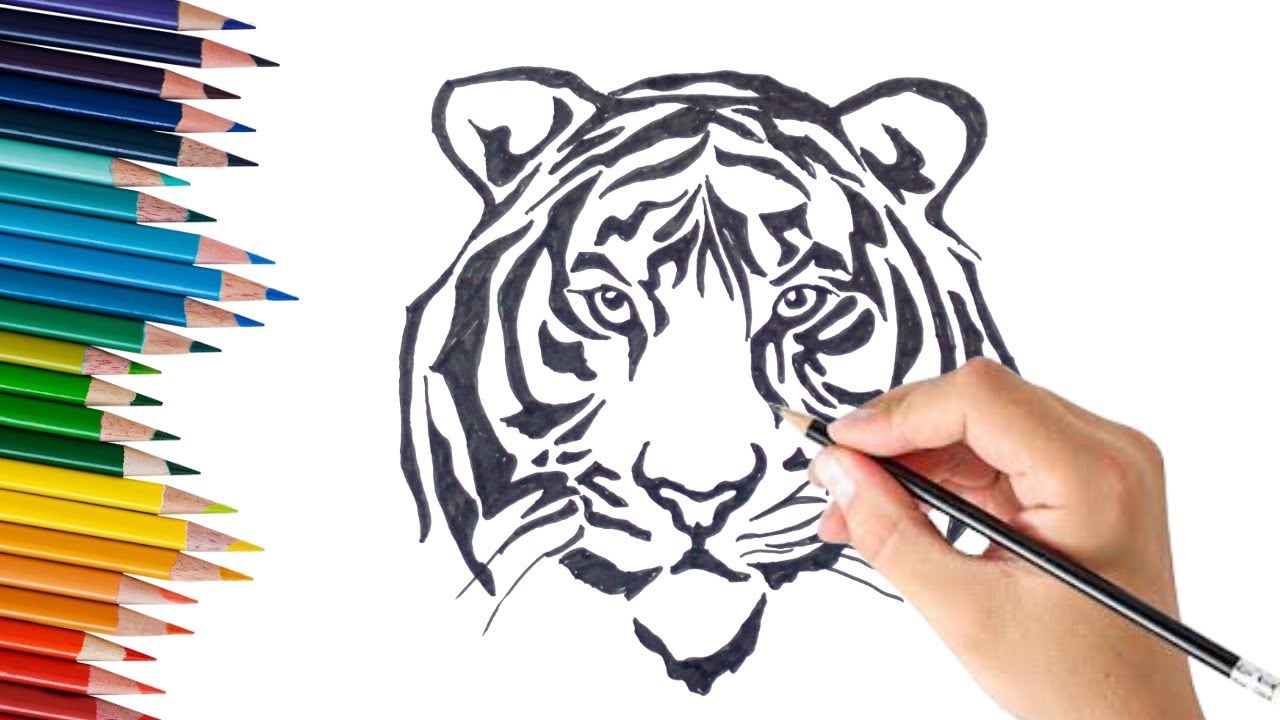 How To Draw Tiger Face Step By Step