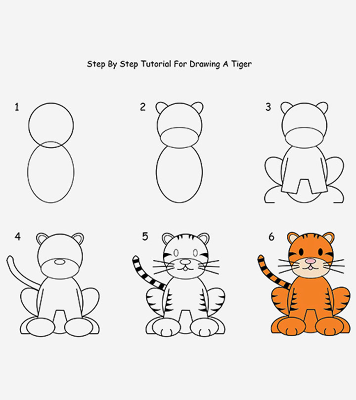 How To Draw Tiger Images