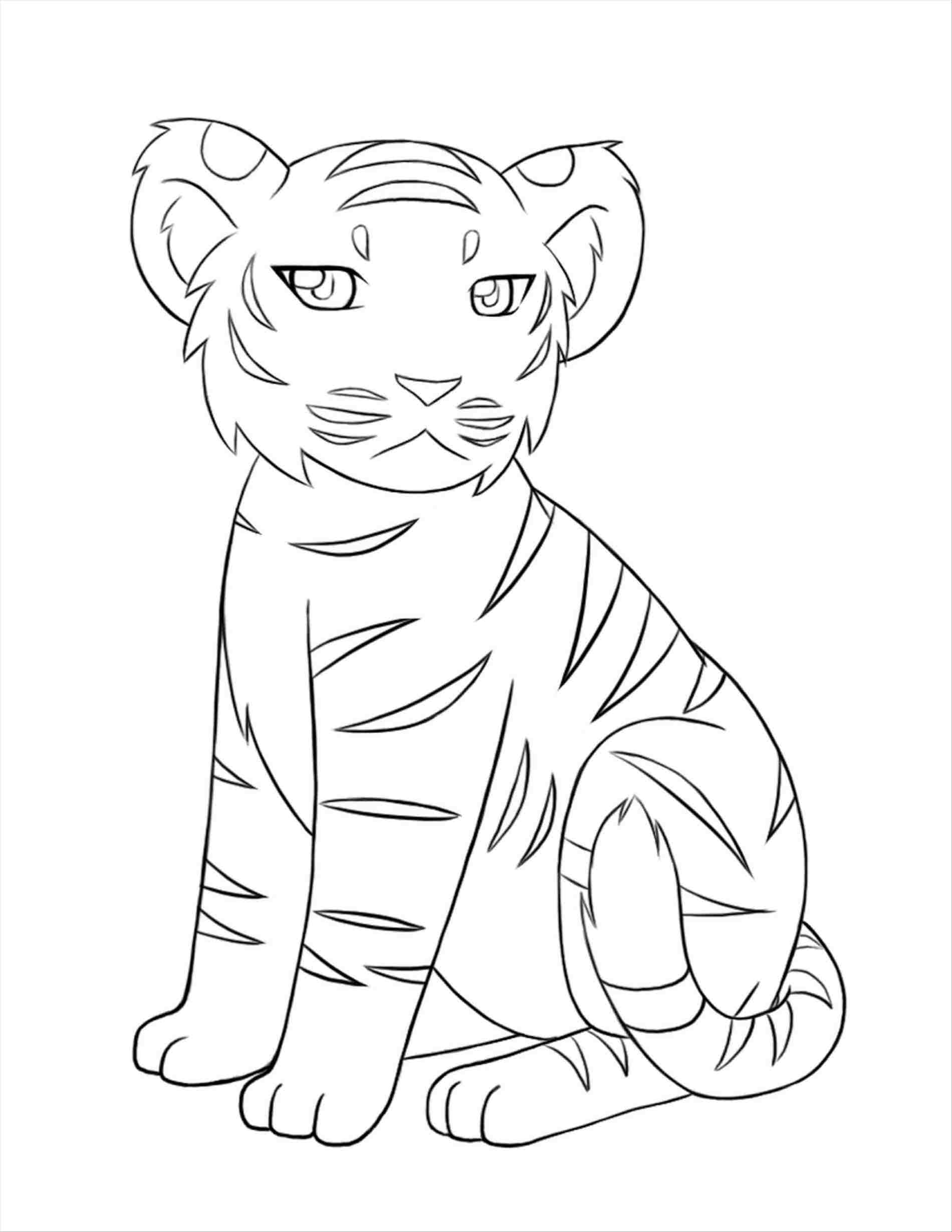 How To Draw Tiger Sitting