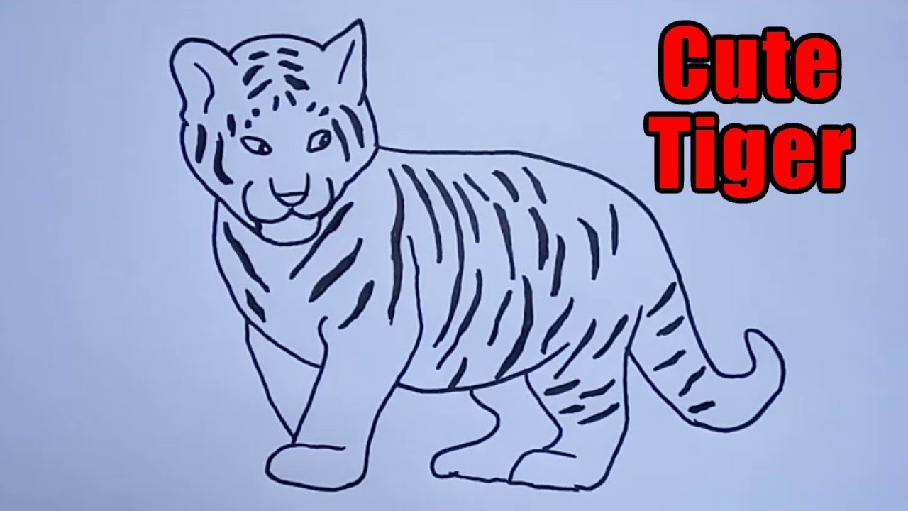 How To Draw Tiger Step By Step