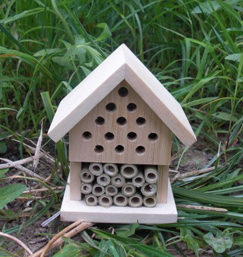 How To Make A Simple Bug House