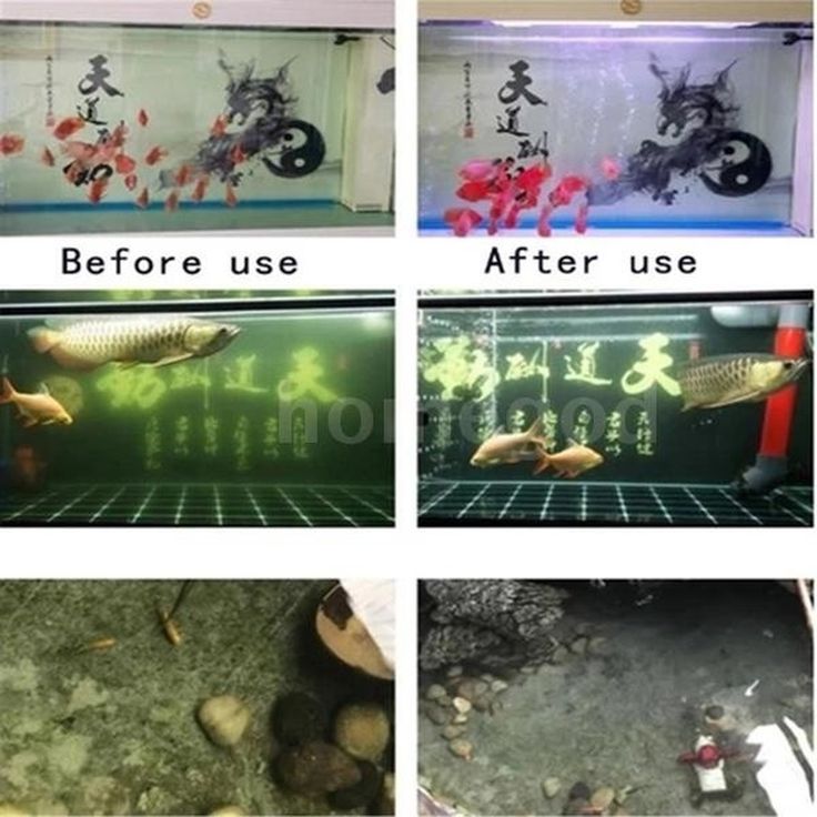 How To Make Cloudy Aquarium Water Clear