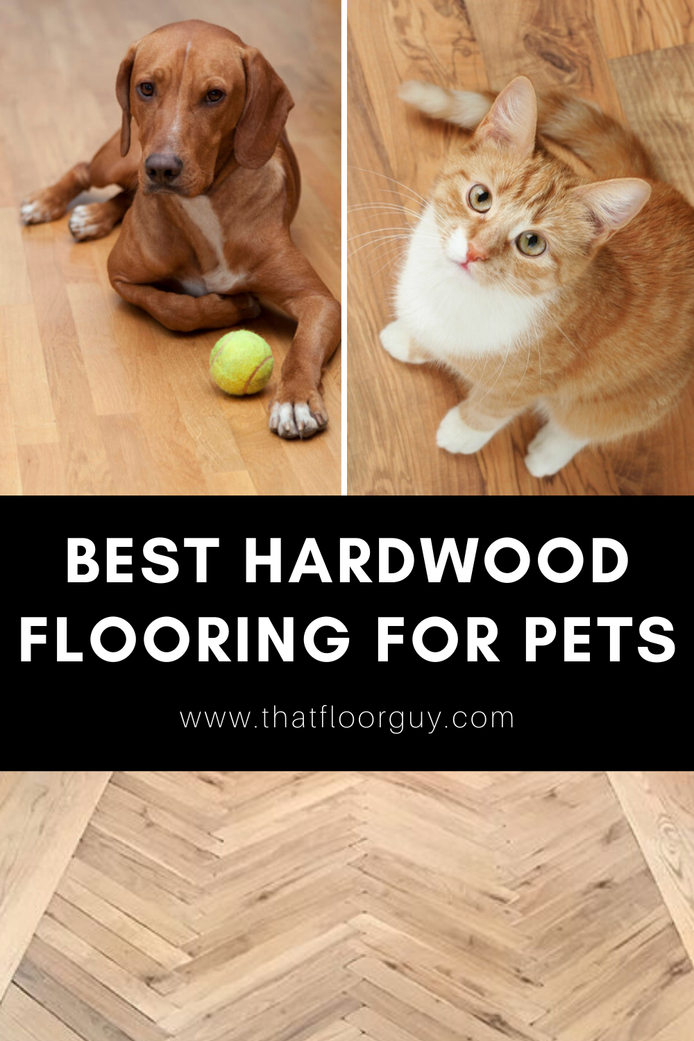 How To Remove Scratches From Hardwood Floor Dog