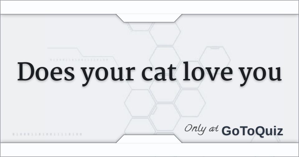How To Tell If Your Cat Loves You Quiz