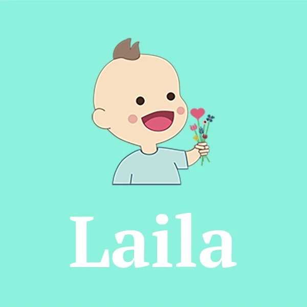 Laila Scandinavian Name Meaning
