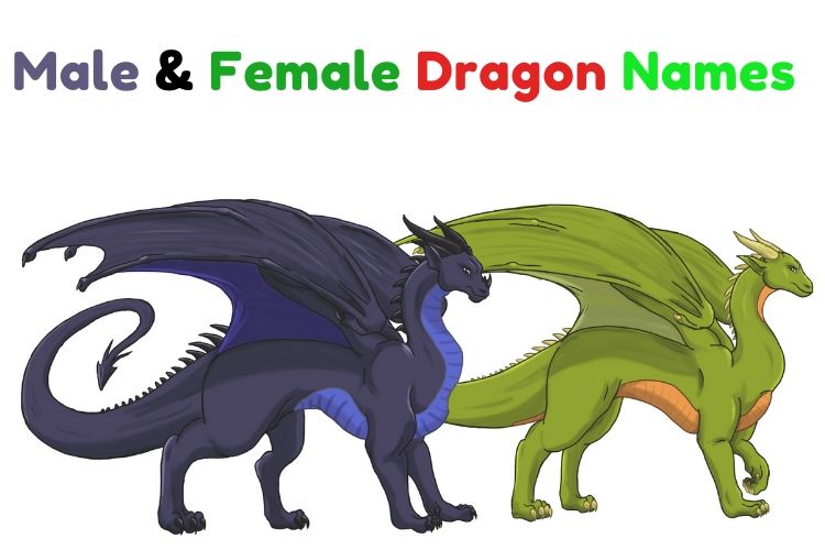 Male Dragon Names From Eragon