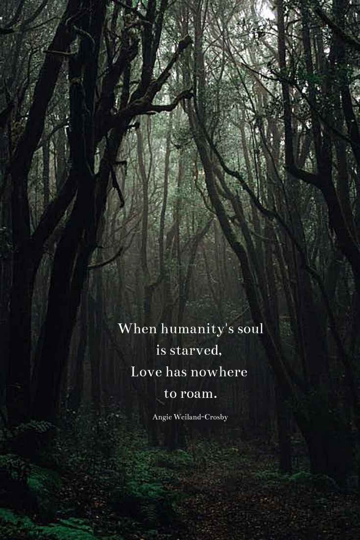 Nature Love Quotes Pinterest