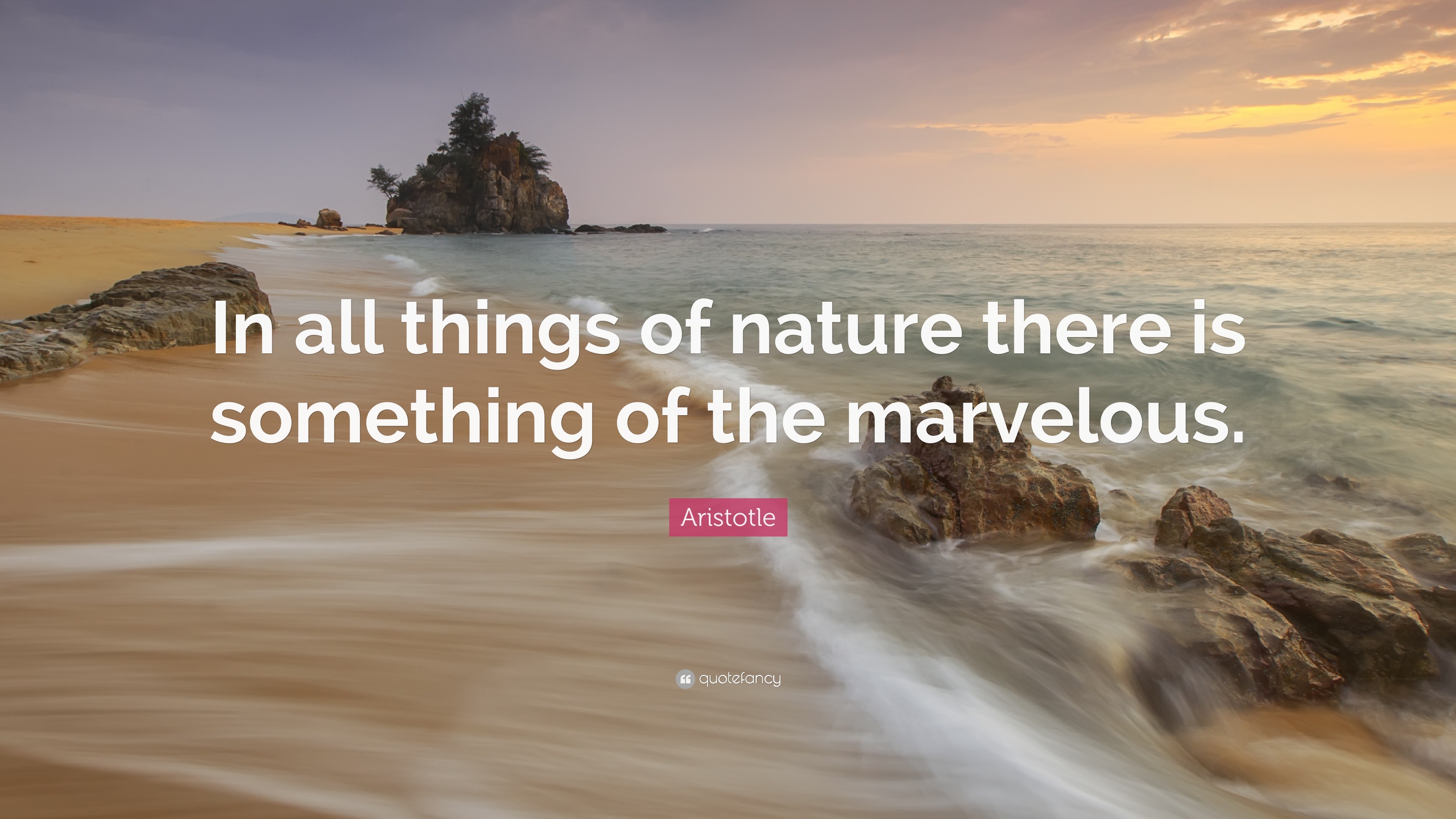 Nature Quotes Lotf