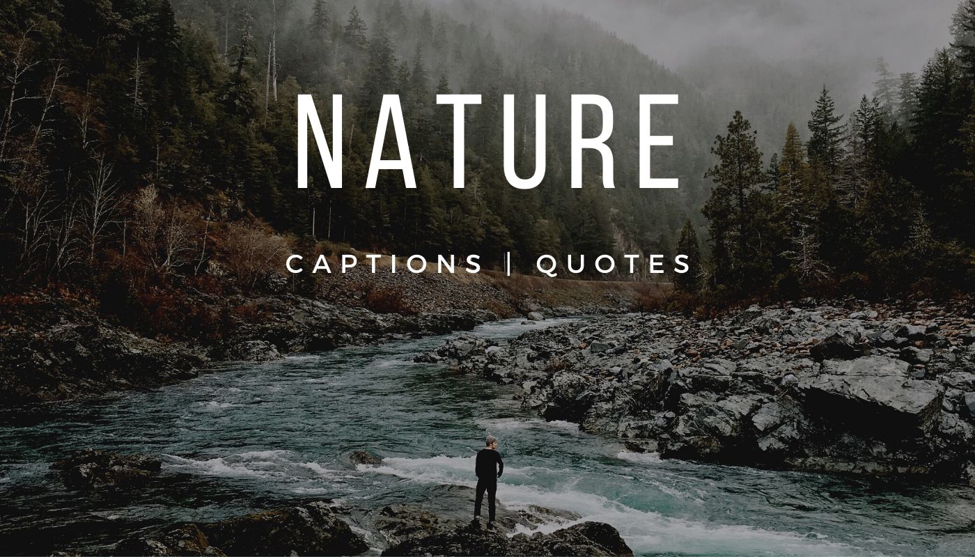 One Liner Captions For Nature