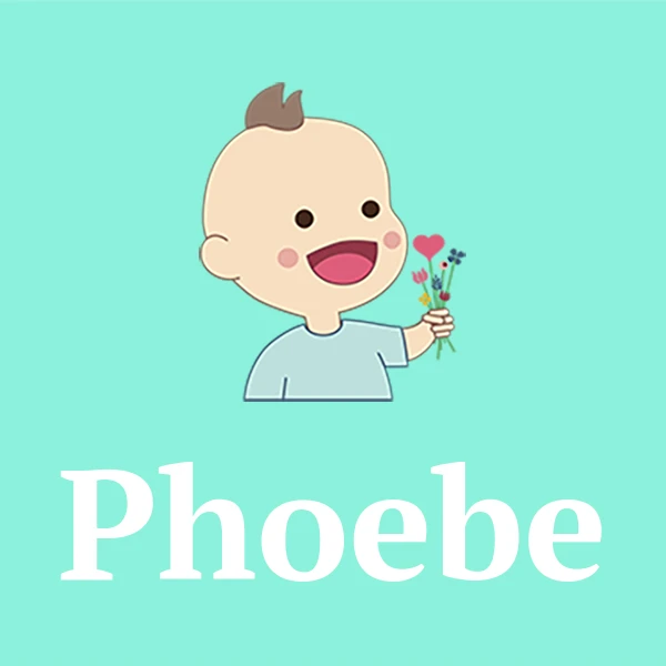 Phoebe Name Pronunciation