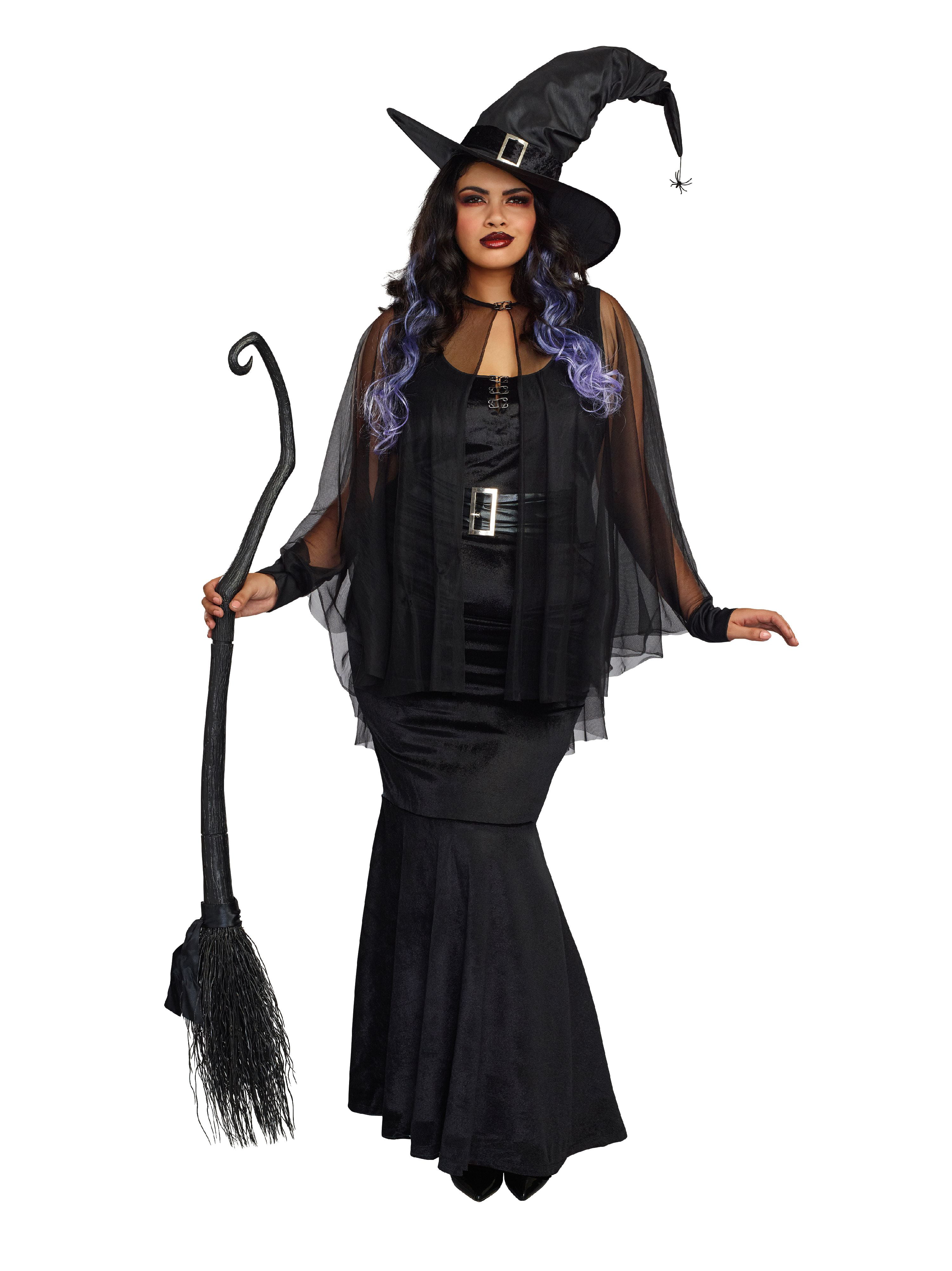 Plus Size Halloween Costumes Witch