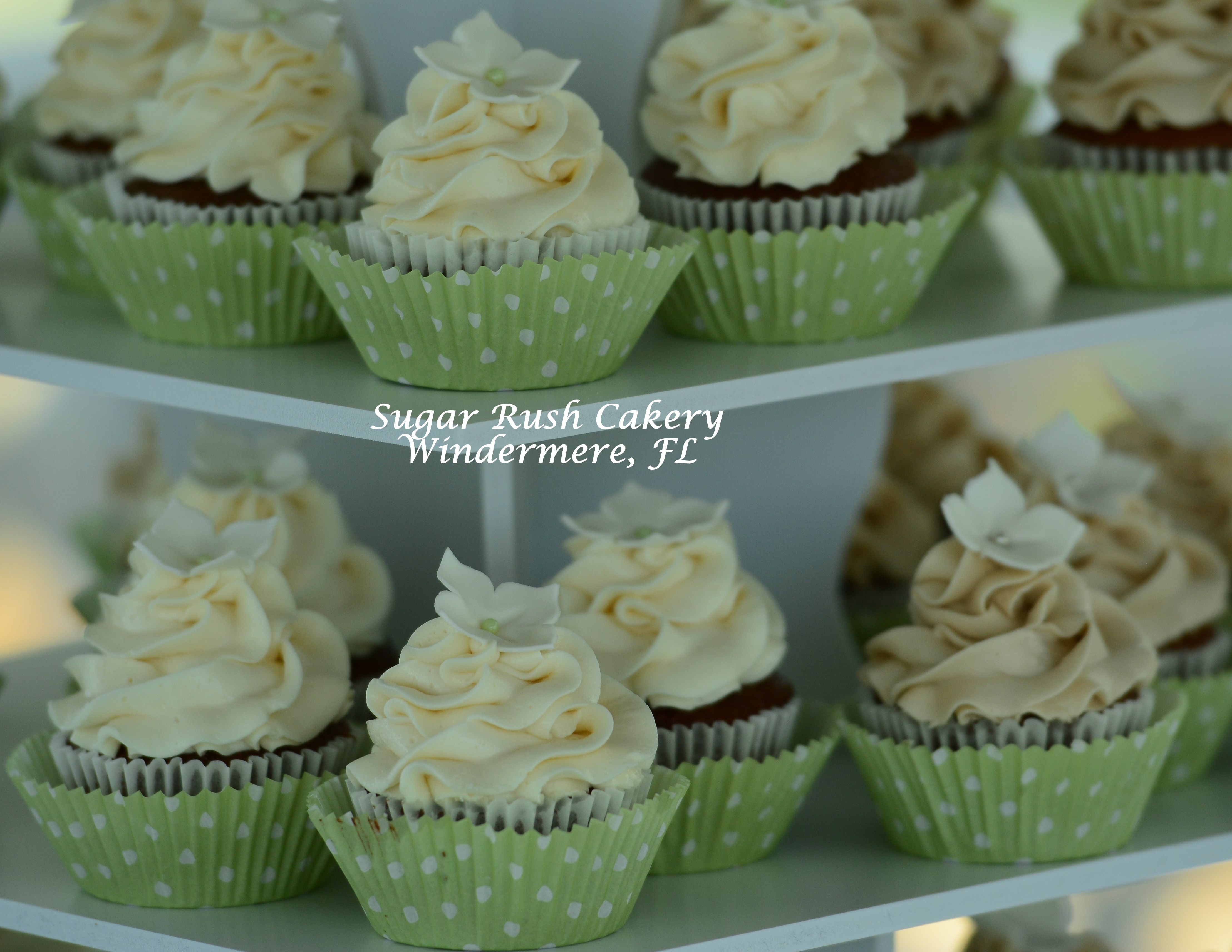 Sage Green Mini Cupcakes
