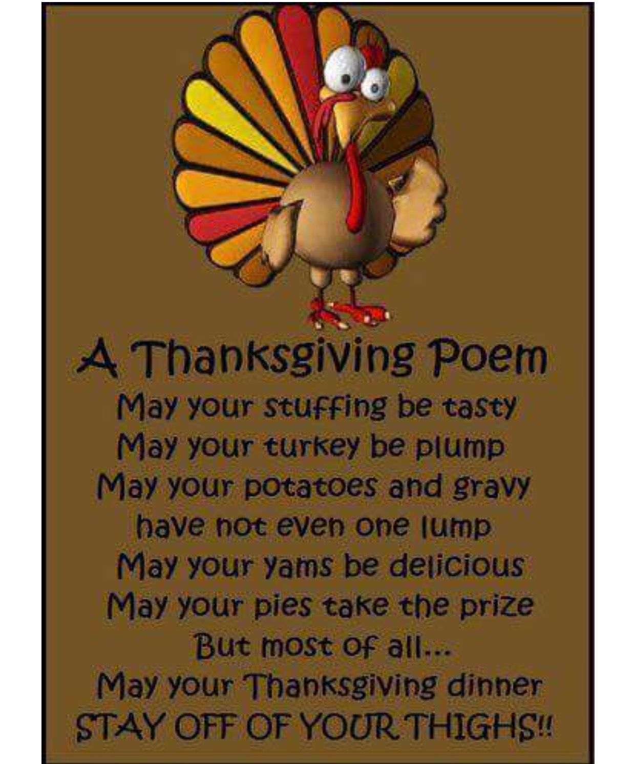 Thanksgiving Humorous Poems
