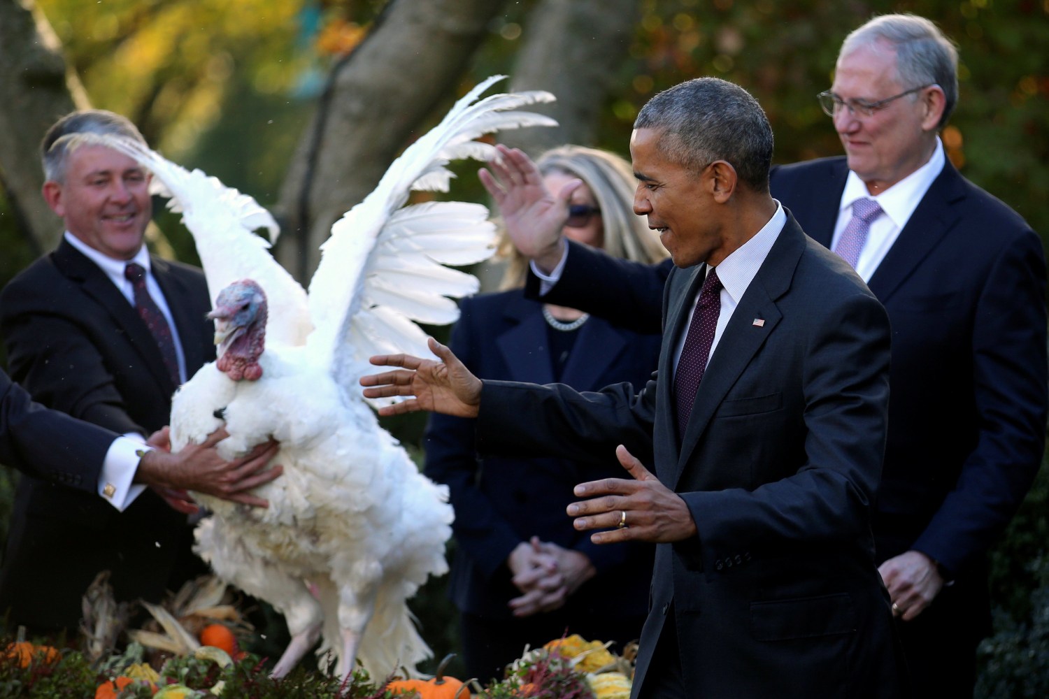 Thanksgiving Turkey Us President