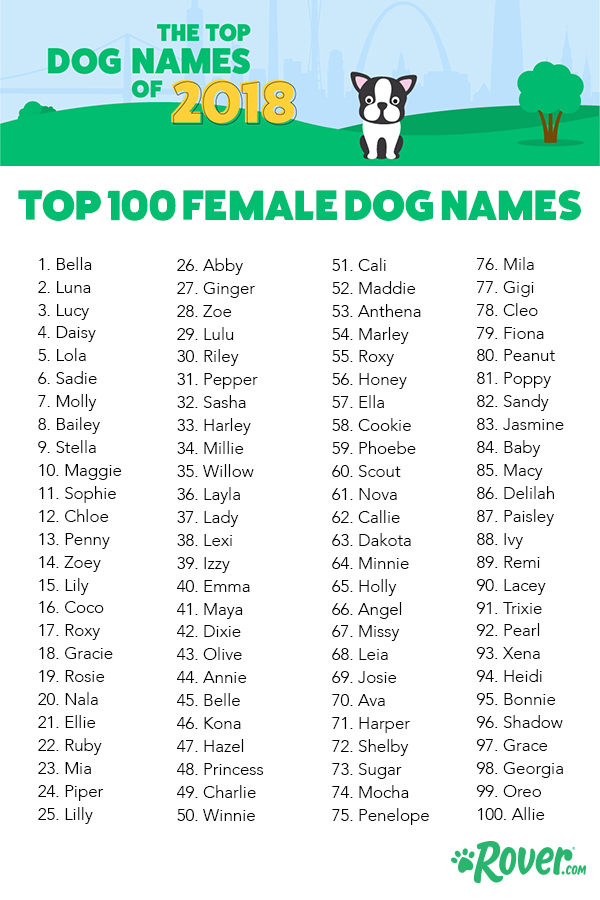 Twin Boy Names For Dogs
