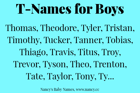 Twin Boy Names That Start With T