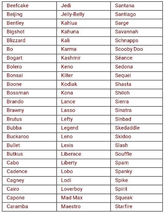 Unique Boy Names With Meaning For Dogs