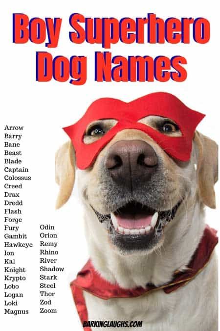 Unique Boy Puppy Names 2020