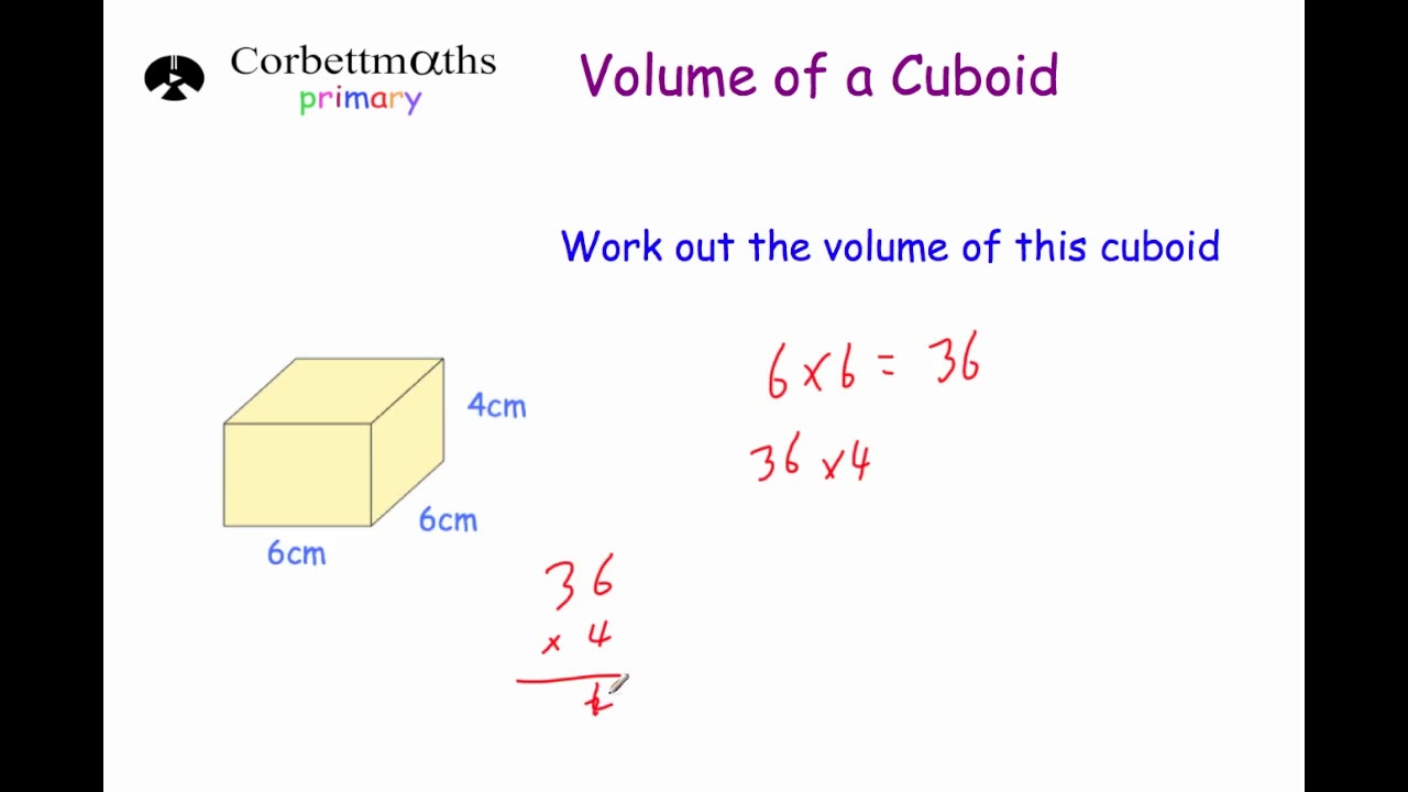 Volume Of Cuboid