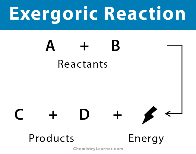What Is The Energy Releasing Equation