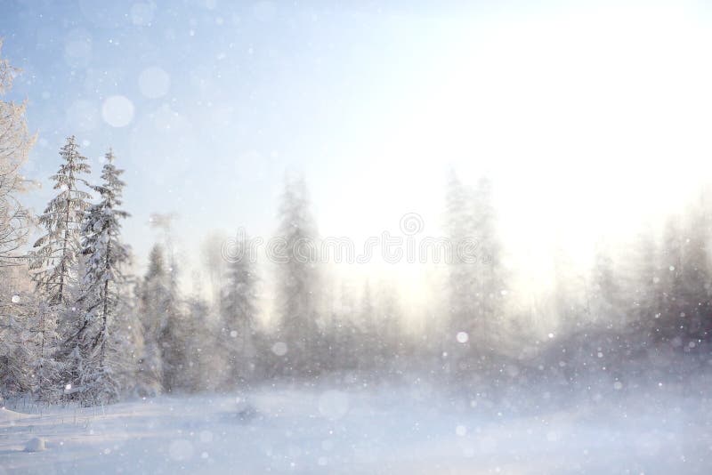 Winter Background Blur