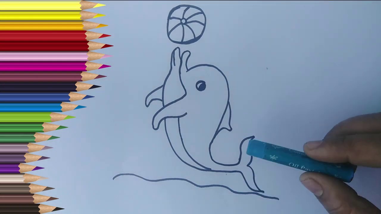 Youtube How To Draw A Dolphin