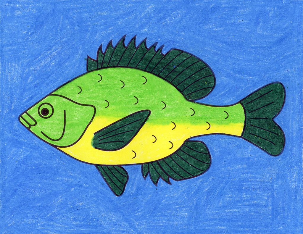 Youtube How To Draw A Fish
